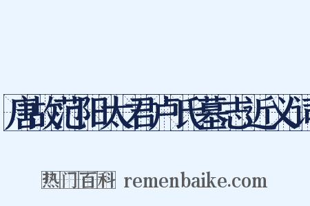 唐故范阳太君卢氏墓志近义词是什么意思的图片